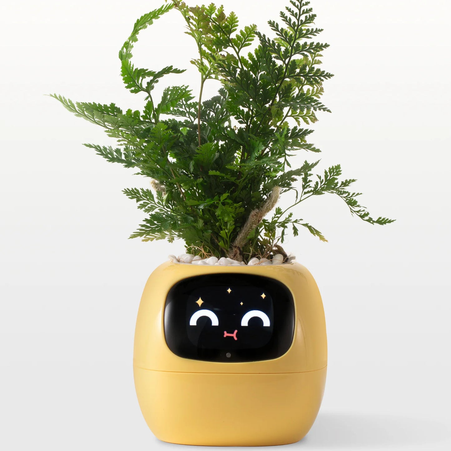 Smart Planter Endless