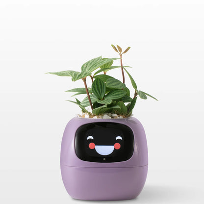 Smart Planter Endless