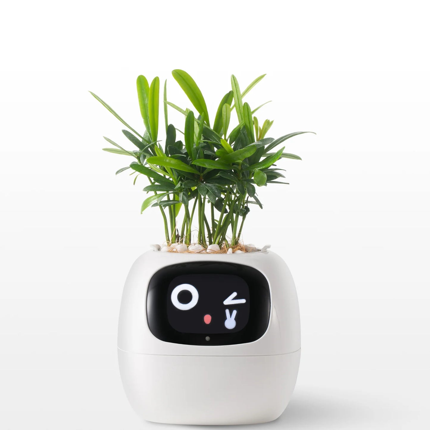 Smart Planter Endless