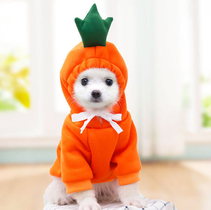 Adorable Fruit Hoodies – Keep Your Pet Warm and Stylish!