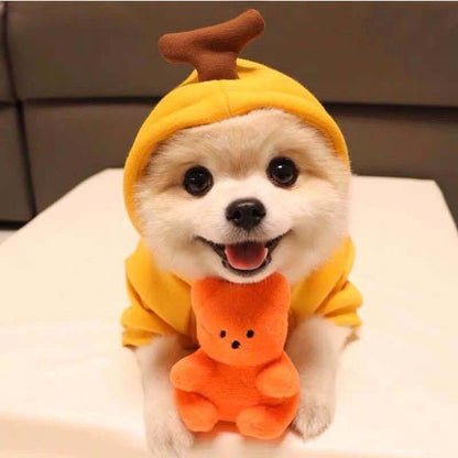 Adorable Fruit Hoodies – Keep Your Pet Warm and Stylish!