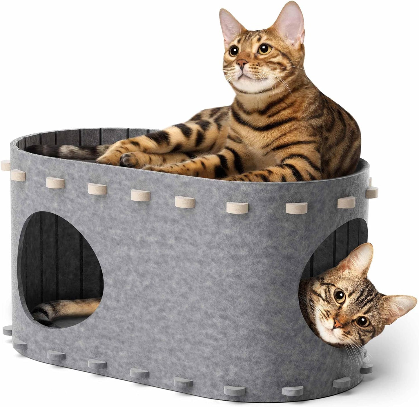 Cat House