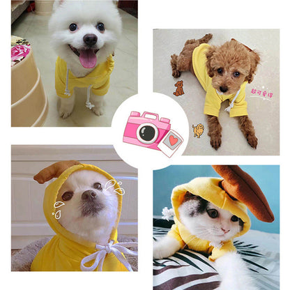 Adorable Fruit Hoodies – Keep Your Pet Warm and Stylish!