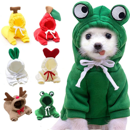 Adorable Fruit Hoodies – Keep Your Pet Warm and Stylish!