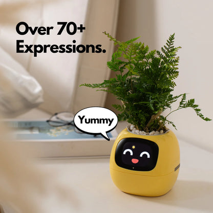 Smart Planter Endless