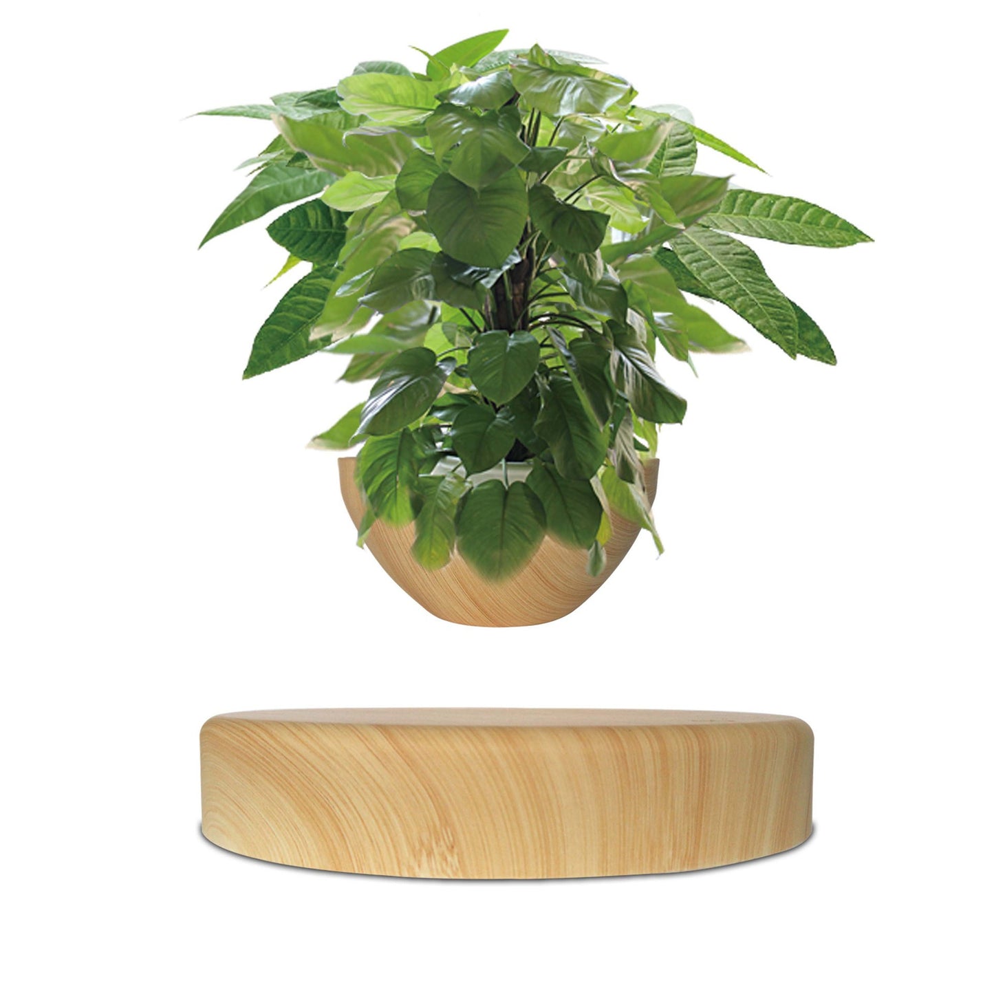 Floating magnetic flower wood grain