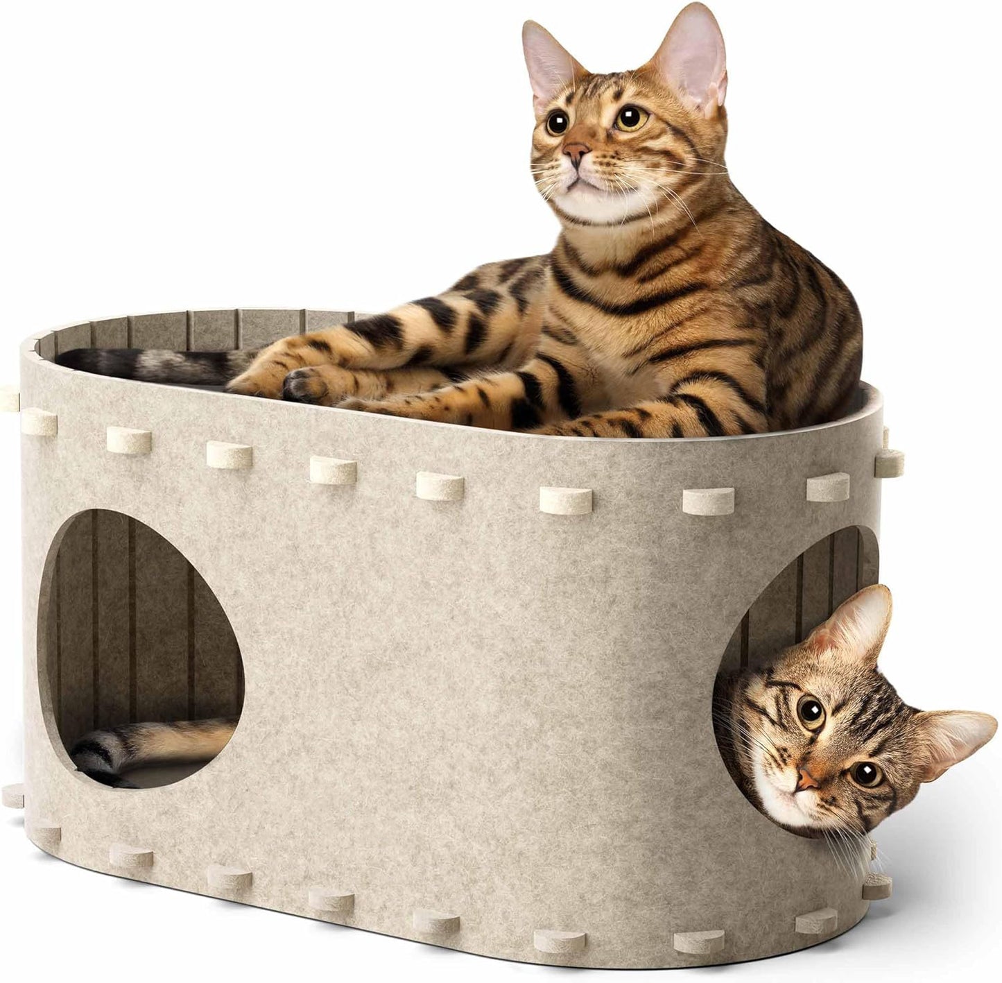 Cat House