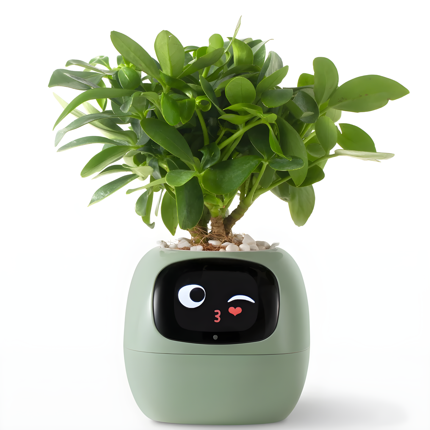 Smart Planter Endless